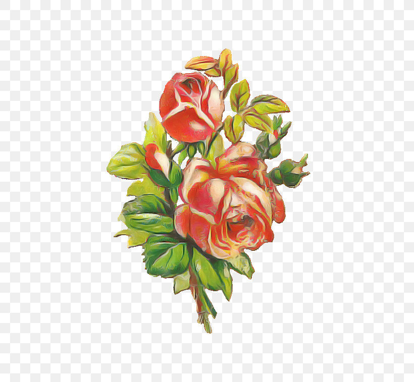 Garden Roses, PNG, 607x757px, Garden Roses, Artificial Flower, Cabbage Rose, Cut Flowers, Floral Design Download Free
