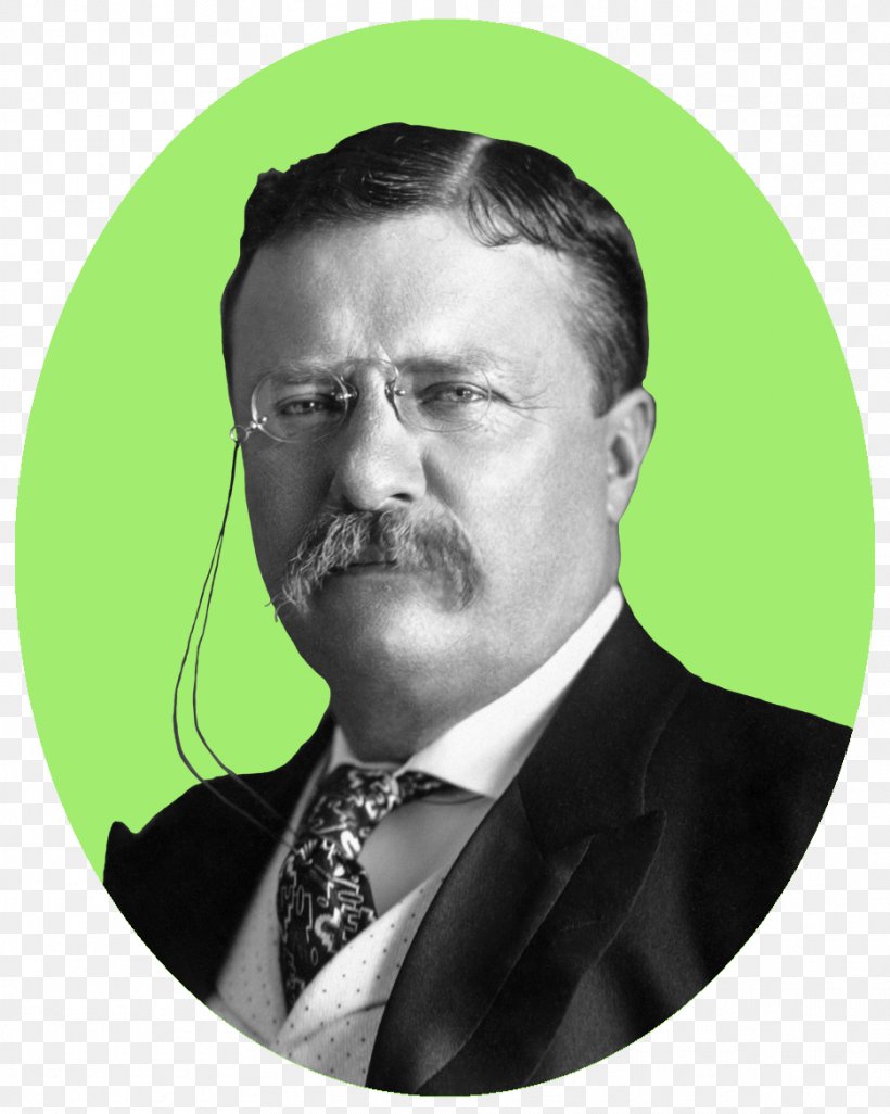 Theodore Roosevelt The Strenuous Life American Ideal United States Book, PNG, 935x1170px, Theodore Roosevelt, Author, Beard, Book, Book Review Download Free