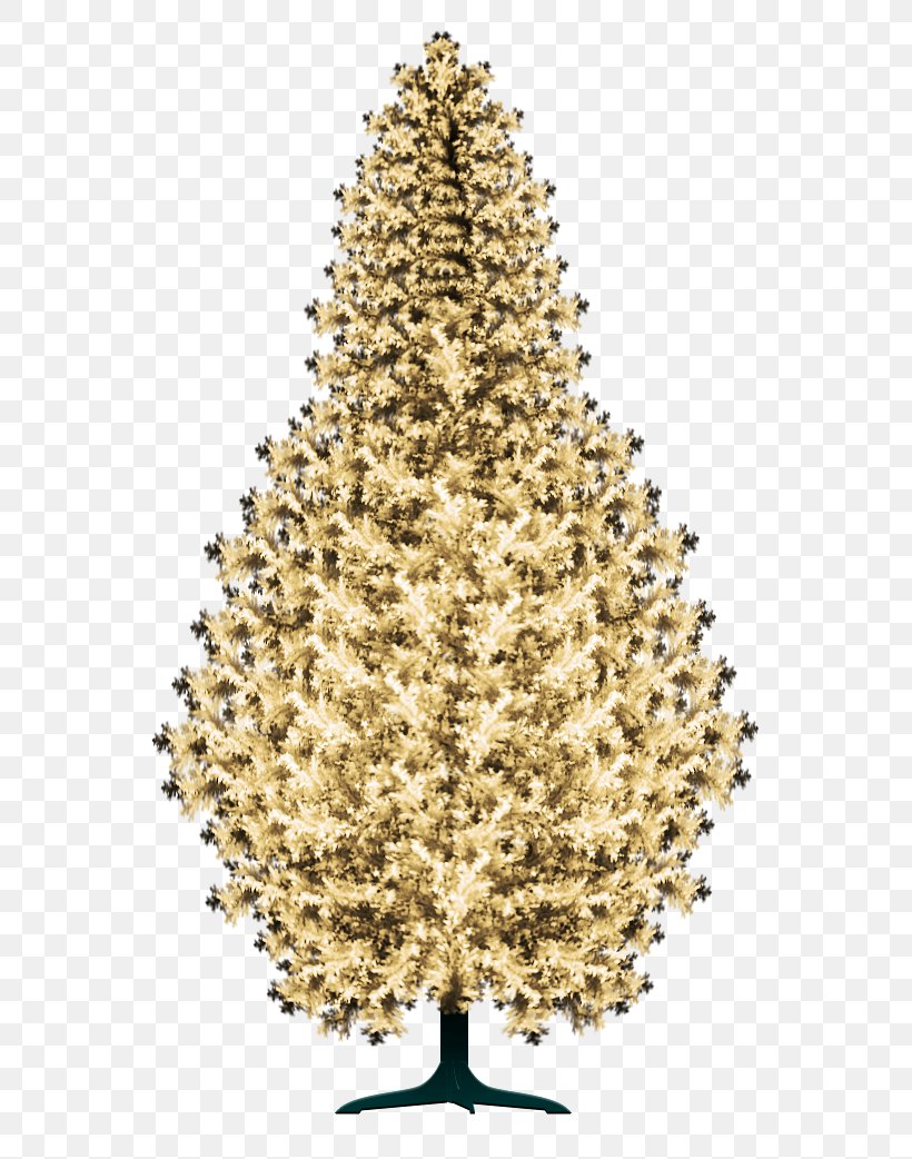 Christmas Tree Spruce Christmas Ornament Fir, PNG, 569x1042px, Christmas Tree, Christmas, Christmas Decoration, Christmas Ornament, Conifer Download Free