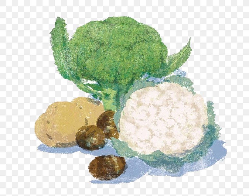 Cauliflower Vegetable Broccoli Food Illustration, PNG, 690x645px, Cauliflower, Art, Brassica Oleracea, Broccoli, Cartoon Download Free