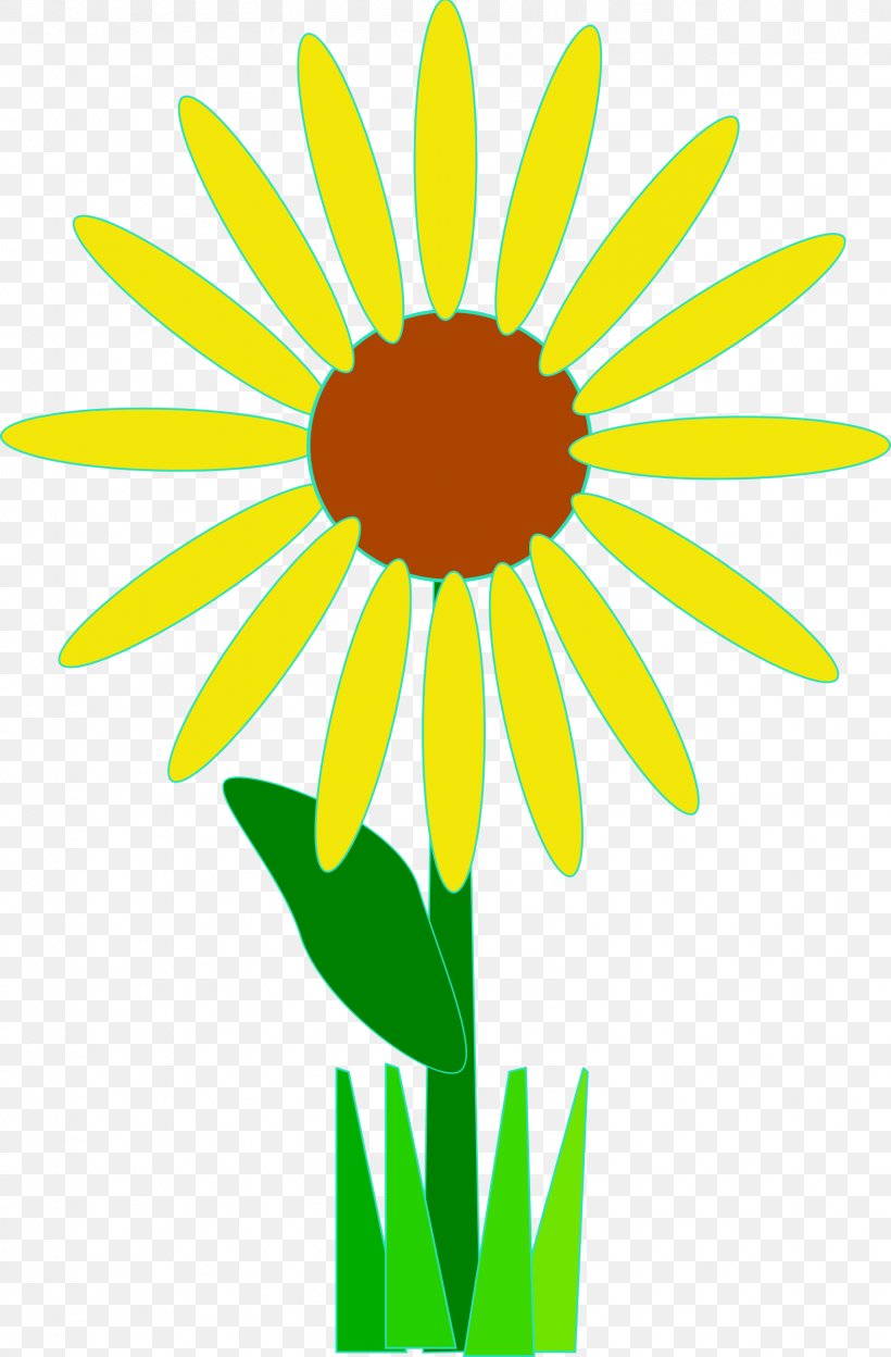Flower Clip Art, PNG, 1576x2400px, Flower, Area, Artwork, Blog, Common Daisy Download Free