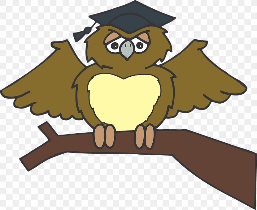 Graduation Ceremony Owl Clip Art, PNG, 879x720px, Graduation Ceremony, Beak, Bird, Bird Of Prey, Cartoon Download Free