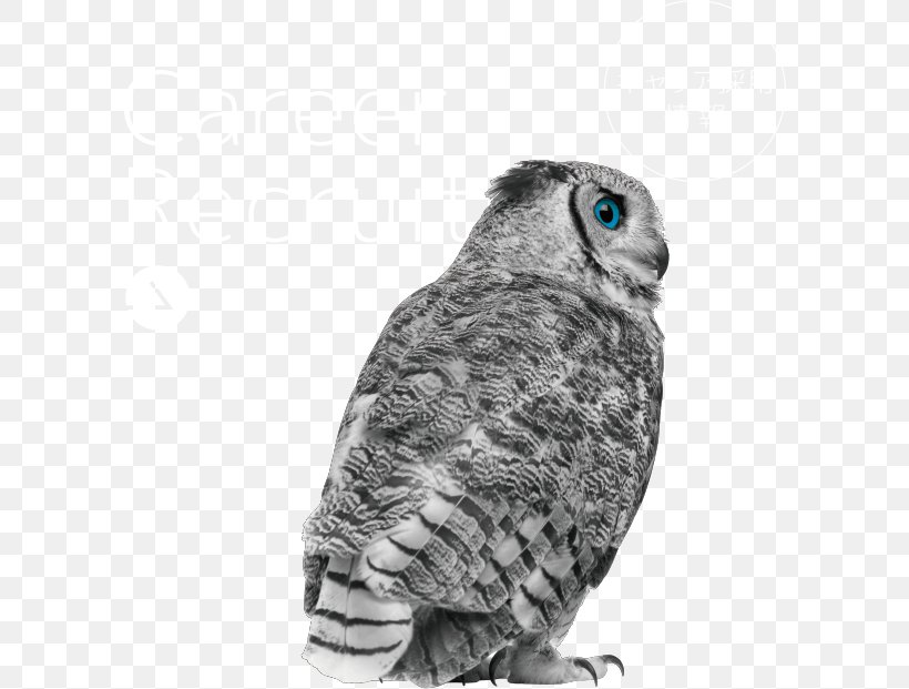 Great Grey Owl Great Horned Owl Stock Photography Eurasian Eagle-owl, PNG, 598x621px, Great Grey Owl, Beak, Bird, Bird Of Prey, Black And White Download Free
