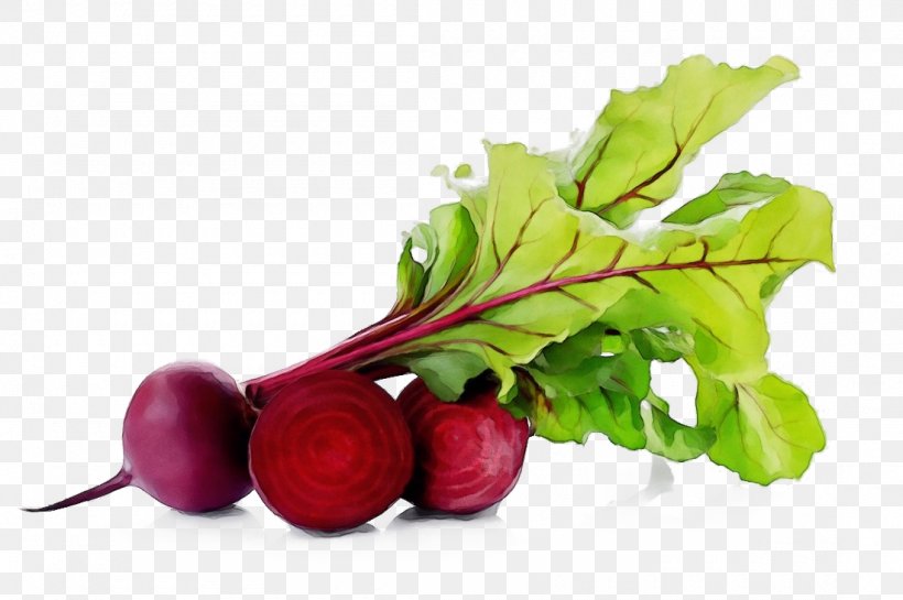 Plant Leaf, PNG, 1100x732px, Beetroots, Beet, Beet Greens, Beetroot, Bischofszell Download Free