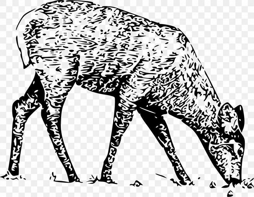 White-tailed Deer Deer Hunting Clip Art, PNG, 2169x1679px, Whitetailed Deer, Animal Figure, Antler, Art, Big Cats Download Free