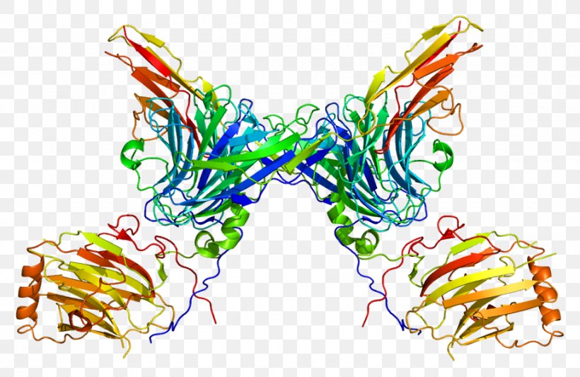 AXL Receptor Tyrosine Kinase Protein Kinase, PNG, 920x599px, Receptor Tyrosine Kinase, Art, Axl Receptor Tyrosine Kinase, Cell Surface Receptor, Gene Download Free