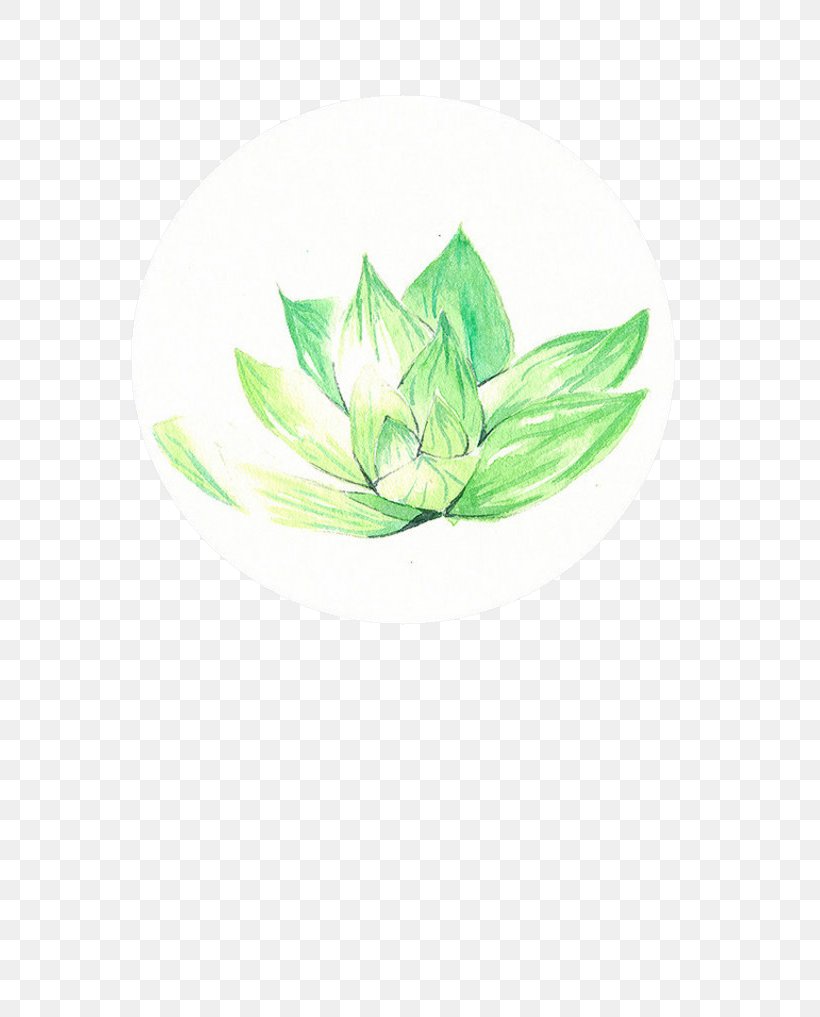 Green, PNG, 700x1017px, Green, Artworks, Flower, Google Images, Leaf Download Free