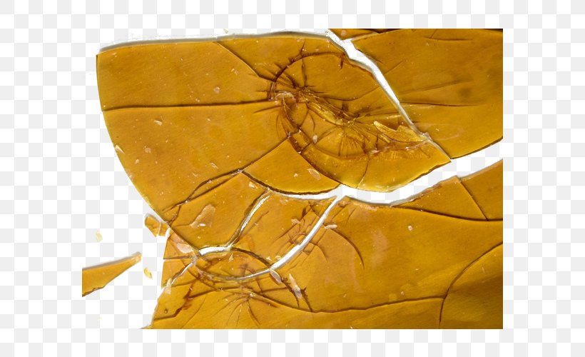 Hash Oil Medical Cannabis Shatter Cannabidiol, PNG, 800x500px, Hash Oil, Cannabidiol, Cannabis, Cannabis Shop, Dispensary Download Free