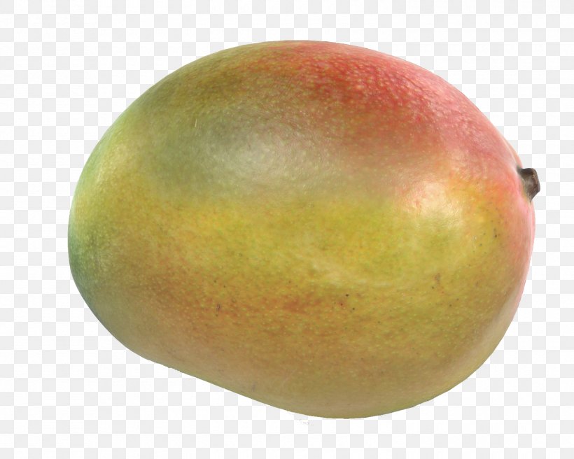 Mango, PNG, 1500x1200px, Mango, Food, Fruit Download Free