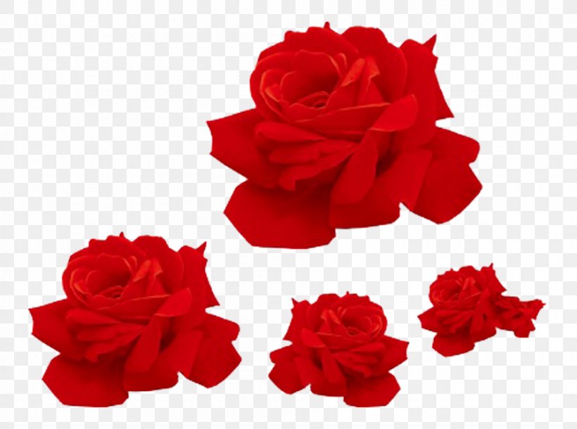 Red Flower Fold, PNG, 896x667px, Beach Rose, Carnation, Chemical Element, Cut Flowers, Flower Download Free