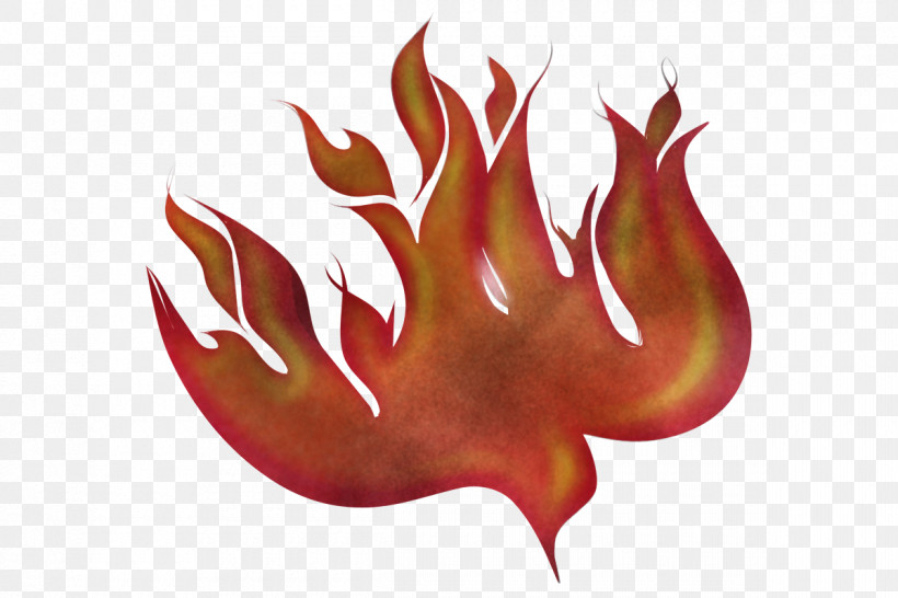 Red Plant Flame Claw, PNG, 1200x800px, Red, Claw, Flame, Plant Download Free