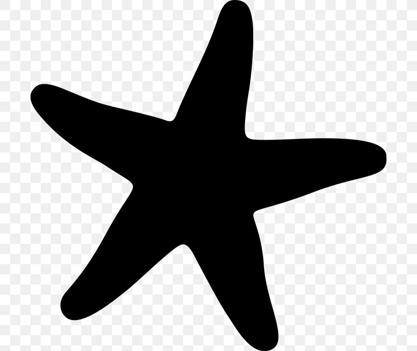 Starfish Marine Invertebrates Clip Art, PNG, 700x691px, Starfish, Airplane, Animal, Black And White, Bumper Sticker Download Free