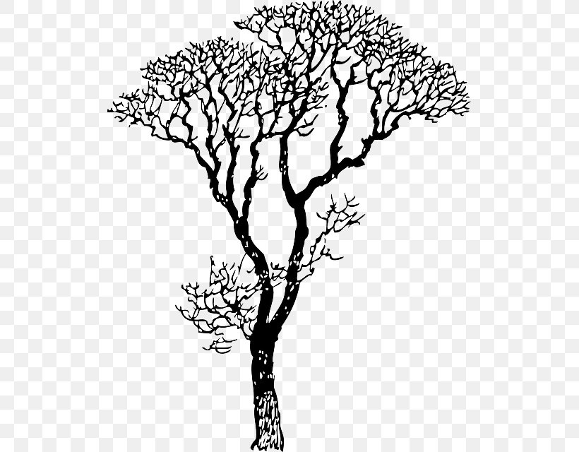 Wall Decal Tree Sticker Clip Art, PNG, 515x640px, Wall Decal, Artwork, Black And White, Branch, Cedar Download Free