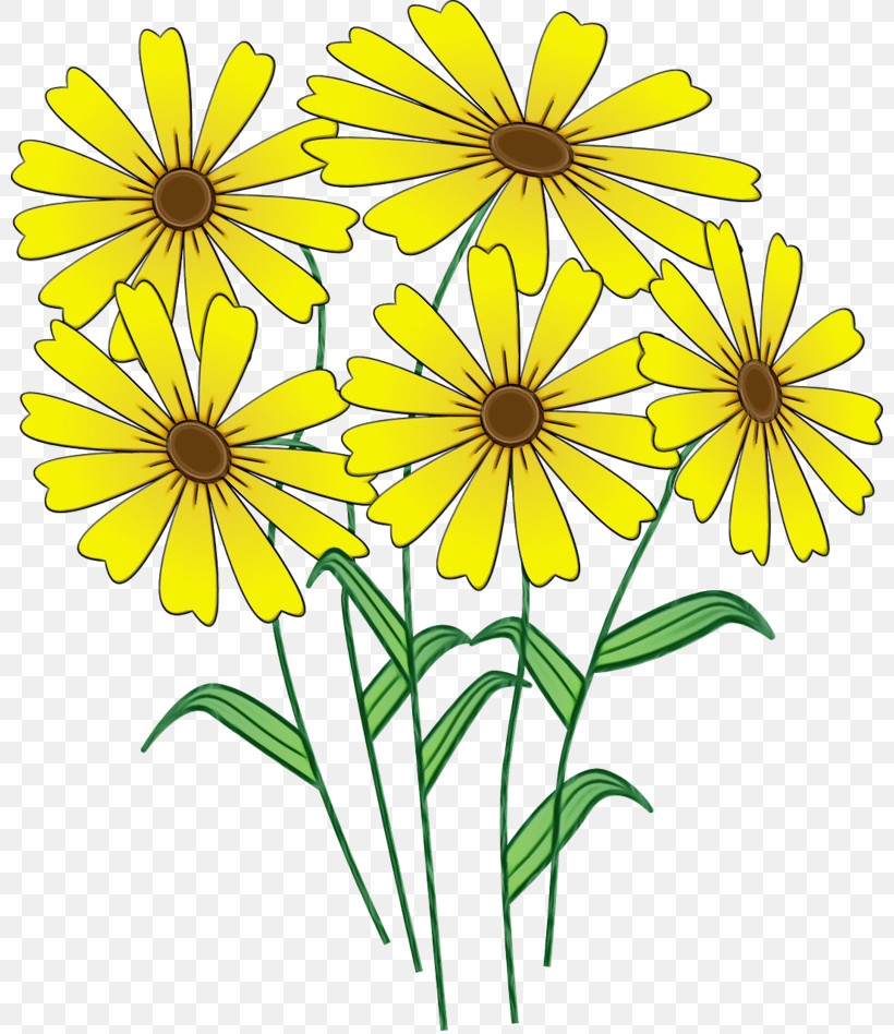 Flower Yellow Plant Petal Wildflower, PNG, 800x948px, Watercolor, Chamomile, Cut Flowers, Daisy Family, Flower Download Free
