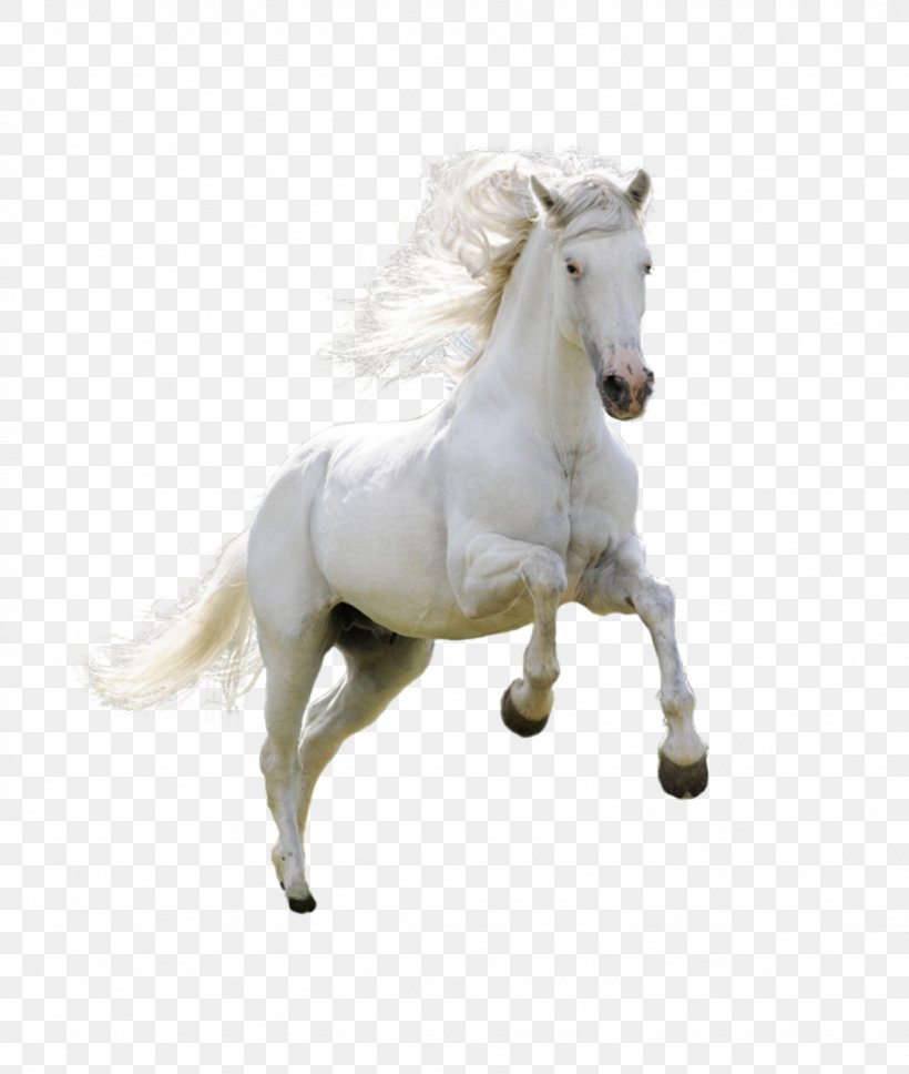 Horse Download Wallpaper, PNG, 1128x1332px, Horse, Bit, Bridle, Display Resolution, Figurine Download Free
