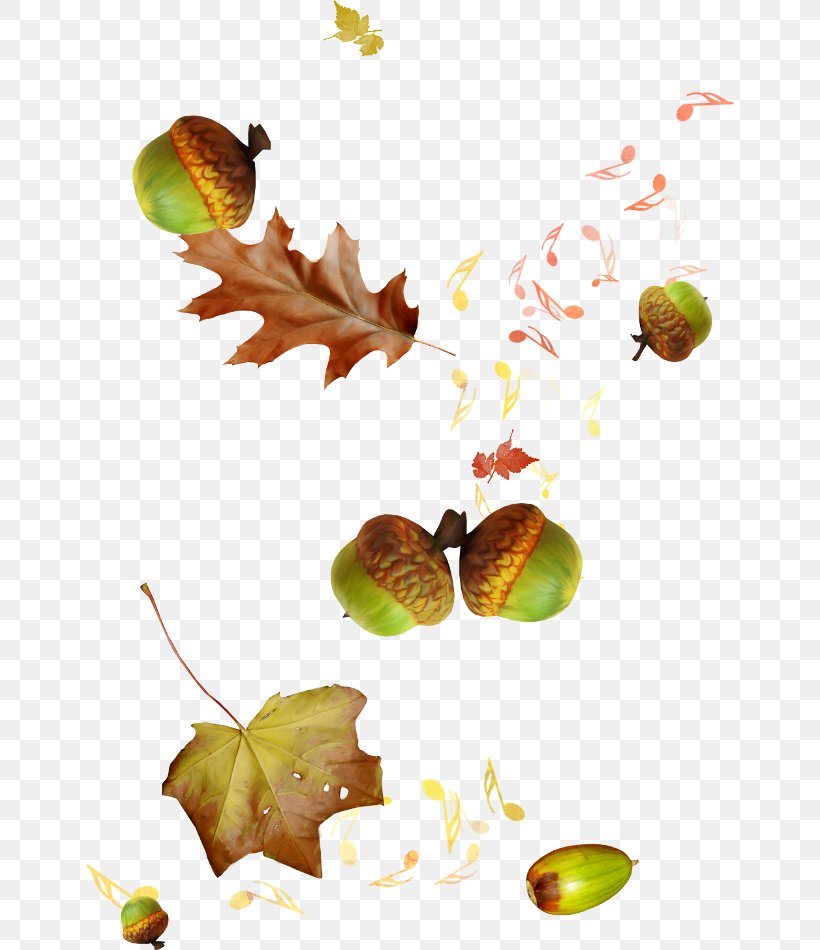 Autumn Clip Art, PNG, 648x950px, Watercolor, Cartoon, Flower, Frame, Heart Download Free