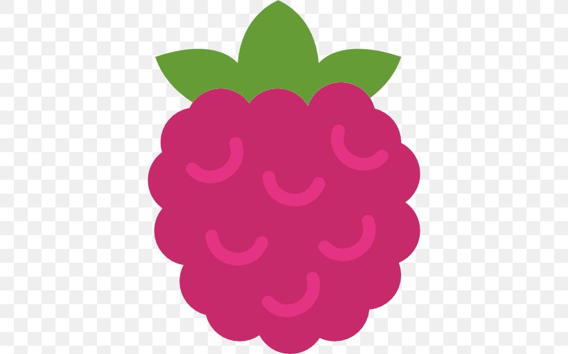 Raspberry Pi Food, PNG, 512x512px, Raspberry Pi, Eating, Flower, Food, Fruit Download Free
