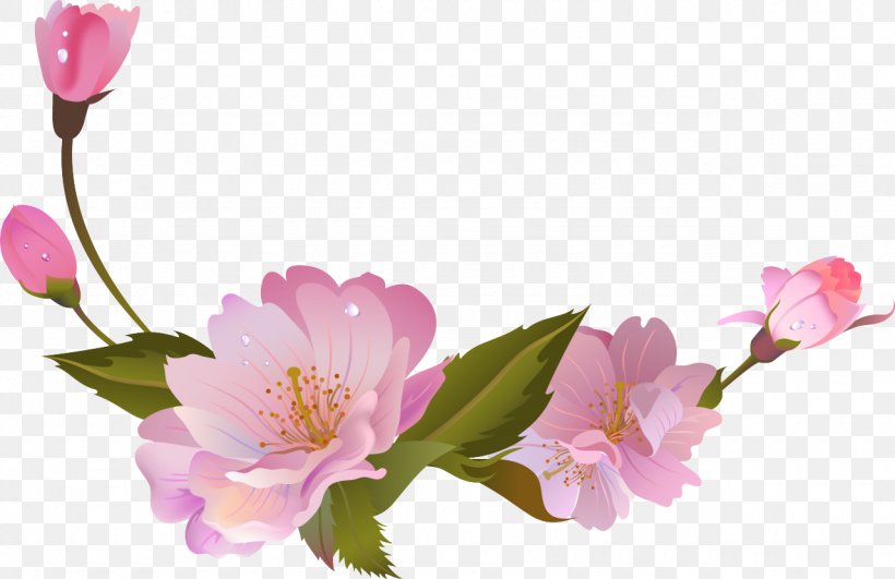 Floral Design Blossom Cut Flowers Spring Rosaceae, PNG, 1280x830px, Floral Design, Blossom, Branch, Cherry, Cherry Blossom Download Free