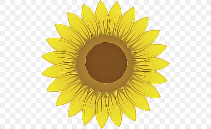 Sunflower, PNG, 500x501px, Sunflower, Eye, Flower, Iris, Petal Download Free
