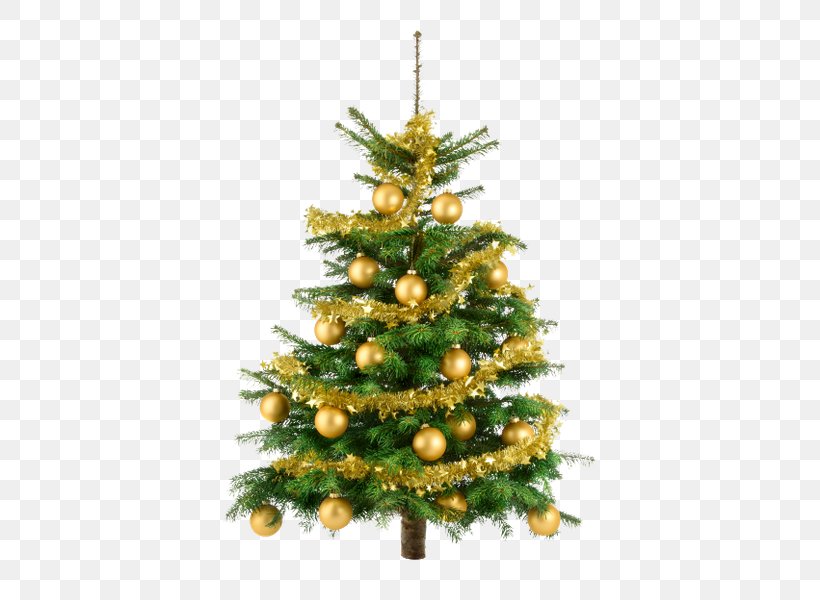 Christmas Tree Gift Fir, PNG, 448x600px, Christmas Tree, Biblical Magi, Christmas, Christmas Decoration, Christmas Ornament Download Free