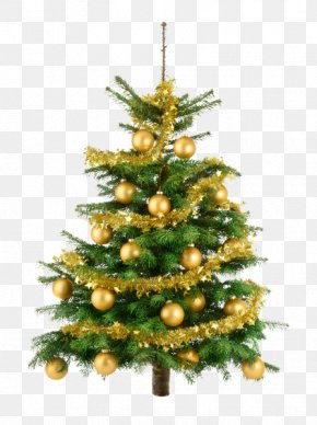 Christmas Tree Christmas Ornament Fir, PNG, 6323x6065px, Borders And ...