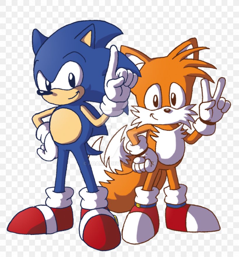 Sonic Chaos Tails Mario & Sonic At The Olympic Games Sonic The Hedgehog Sonic Adventure, PNG, 863x926px, Sonic Chaos, Art, Carnivoran, Cartoon, Coloring Book Download Free