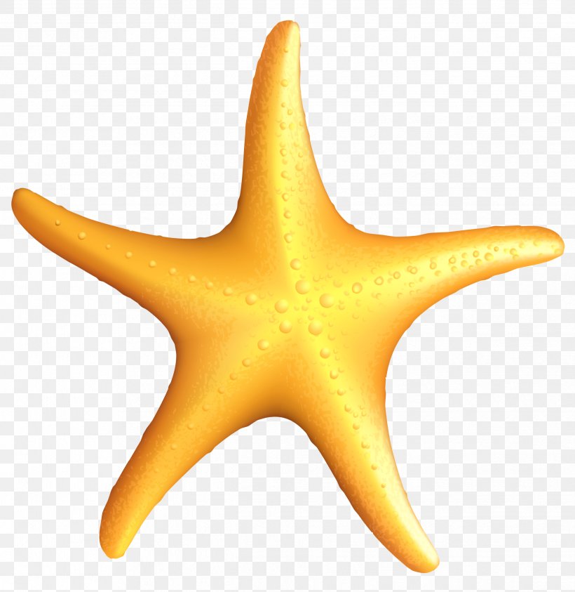 Beach Starfish Clip Art, PNG, 2488x2558px, Beach, Alpha Compositing, Echinoderm, Invertebrate, Marine Invertebrates Download Free