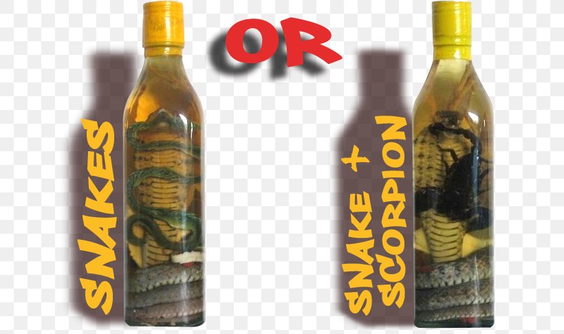 Liqueur Snake Wine Distilled Beverage, PNG, 756x486px, Liqueur, Alcoholic Drink, Bizarre Foods With Andrew Zimmern, Bottle, Cobra Download Free