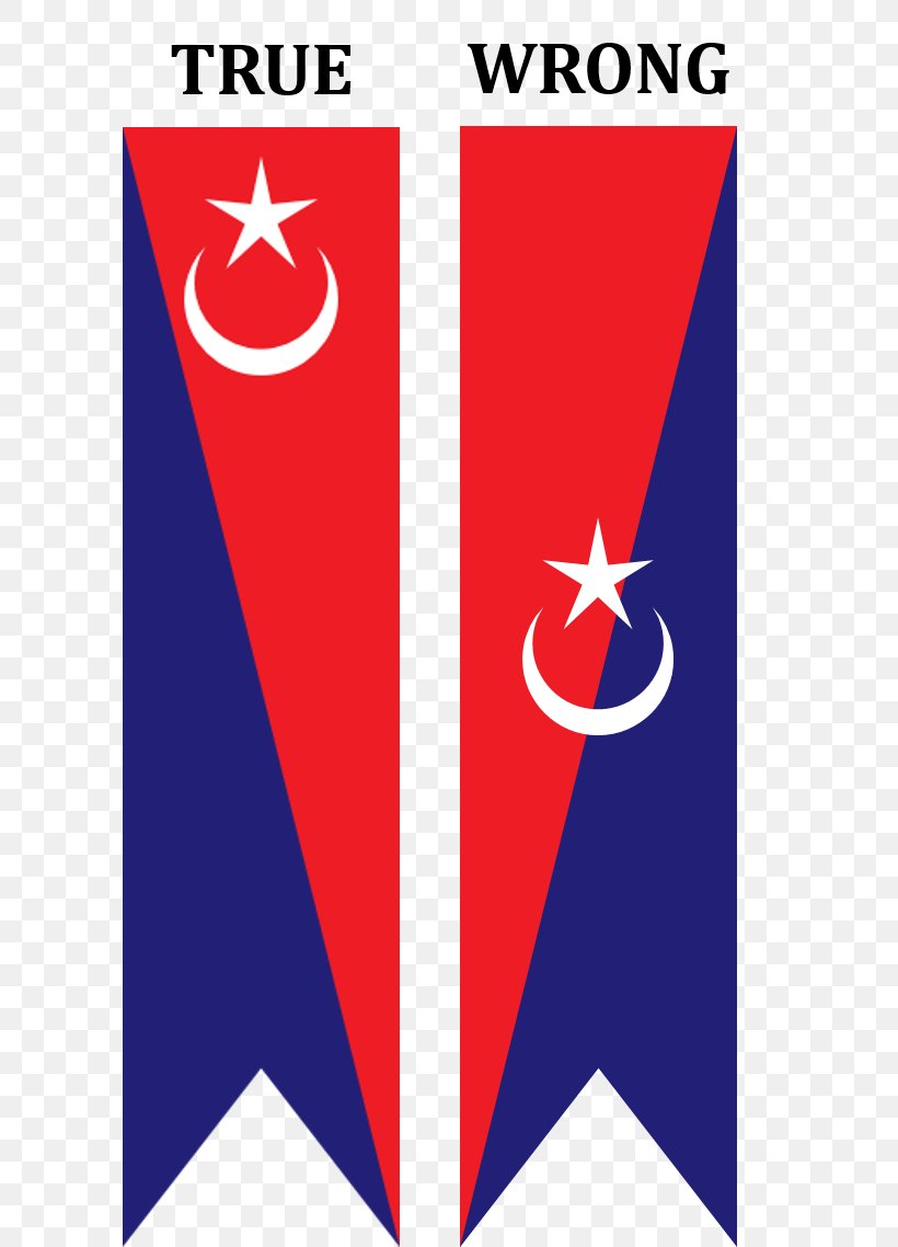 Flag Of Bosnia And Herzegovina Flag Of Chile National Flag, PNG, 596x1138px, Bosnia And Herzegovina, Area, Brand, Croatia, Flag Download Free