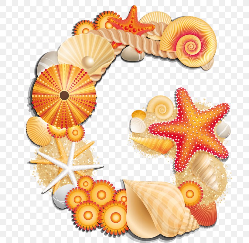Letter Shell Beach Alphabet Clip Art, PNG, 708x800px, Letter, Alphabet, Beach, Cuisine, Cut Flowers Download Free