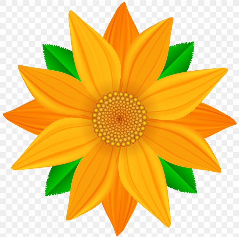 Common Sunflower Clip Art, PNG, 6000x5945px, Common Sunflower, Art Museum, Cocktail, Cut Flowers, Daisy Family Download Free
