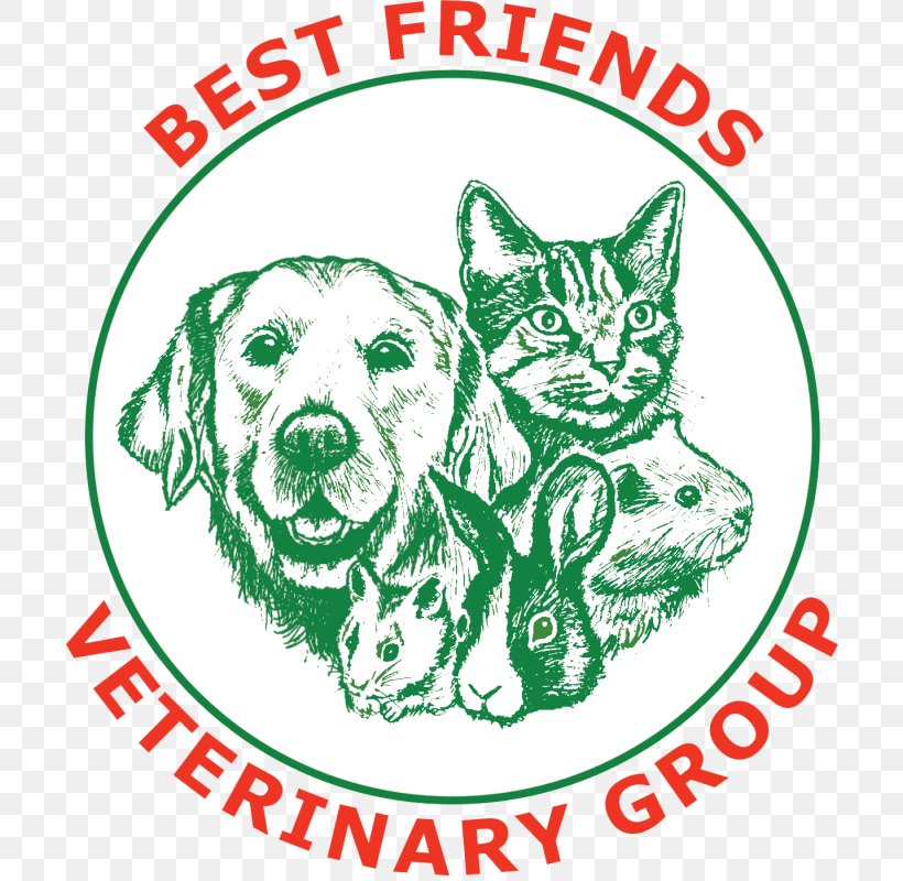 Dog Cat Best Friends Veterinarian Broadway Veterinary Hospital, PNG, 708x800px, Dog, Area, Art, Artwork, Best Friends Download Free