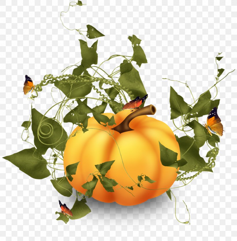 Pumpkin Squash Vegetable, PNG, 1005x1024px, Pumpkin, Autumn, Calabaza, Cucurbita, Floral Design Download Free