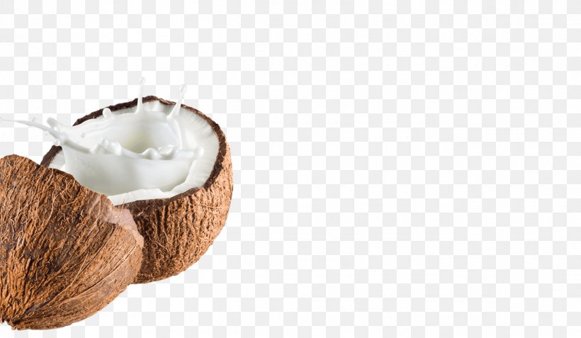 Coconut Water Coconut Milk Powder, PNG, 1366x796px, Coconut Water, Coconut, Coconut Cream, Coconut Milk, Coconut Milk Powder Download Free