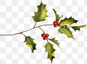 Christmas Holly Clip Art Image​