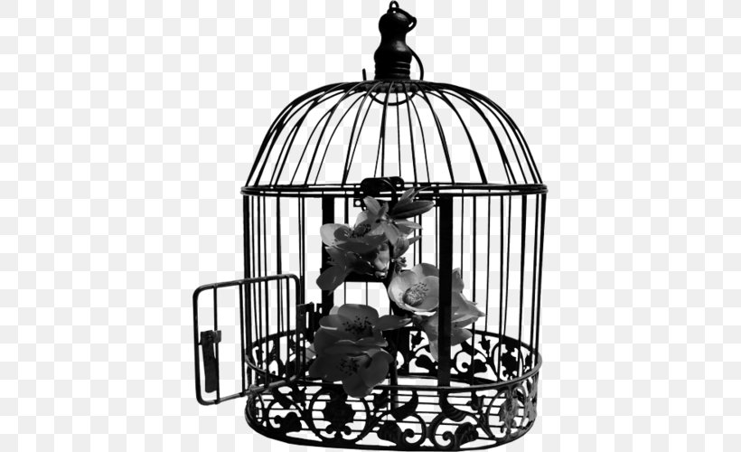 Cage Bird Wire, PNG, 394x500px, Cage, Bird, Birdcage, Black And White, Cell Download Free
