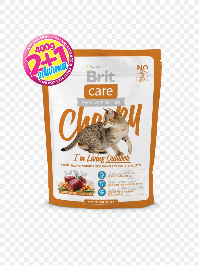 Cat Food Kitten Pet Senior Cats, PNG, 1200x1600px, Cat Food, Big Cat, Cat, Dog, Dog Food Download Free