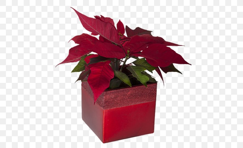 Red Leaf Flower Flowerpot Plant, PNG, 500x500px, Red, Anthurium, Flower, Flowerpot, Houseplant Download Free