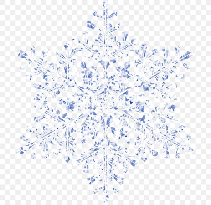 Snowflake Line Symmetry Point Pattern, PNG, 694x800px, Snowflake, Blue, Branch, Branching, Point Download Free