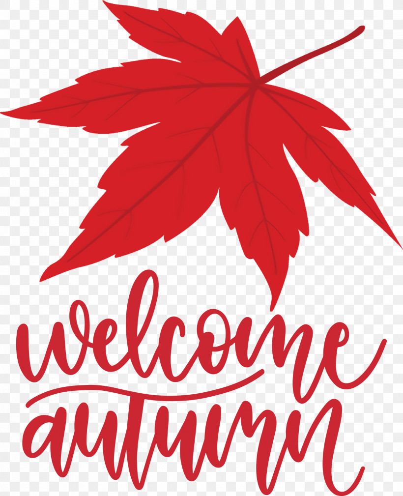 Welcome Autumn Autumn, PNG, 2438x3000px, Welcome Autumn, Autumn, Biology, Flower, Geometry Download Free