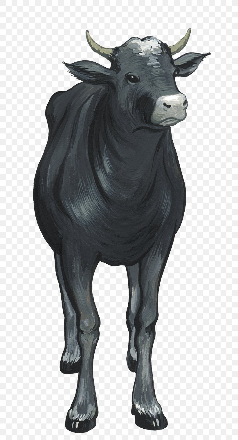Bull Cattle, PNG, 689x1517px, Bull, Cartoon, Cattle, Cattle Like Mammal, Cow Goat Family Download Free