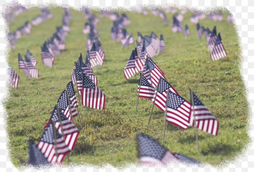 Grassland Zebra, PNG, 1264x855px, Grassland, Flag, Flag Day Usa, Flag Of The United States, Lavender Download Free