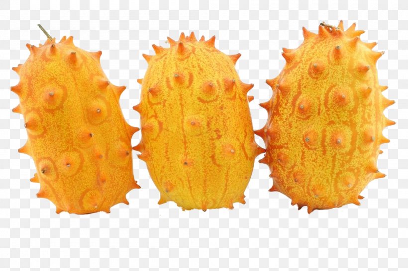 Horned Melon Photography, PNG, 1000x667px, Horned Melon, Bigstock, Cucumis, Food, Fruit Download Free