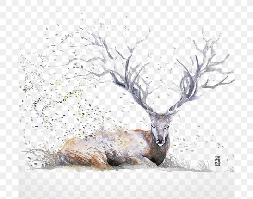 Watercolor Painting Drawing Artist Illustration, PNG, 700x646px, Watercolor Painting, Antler, Art, Artist, Branch Download Free
