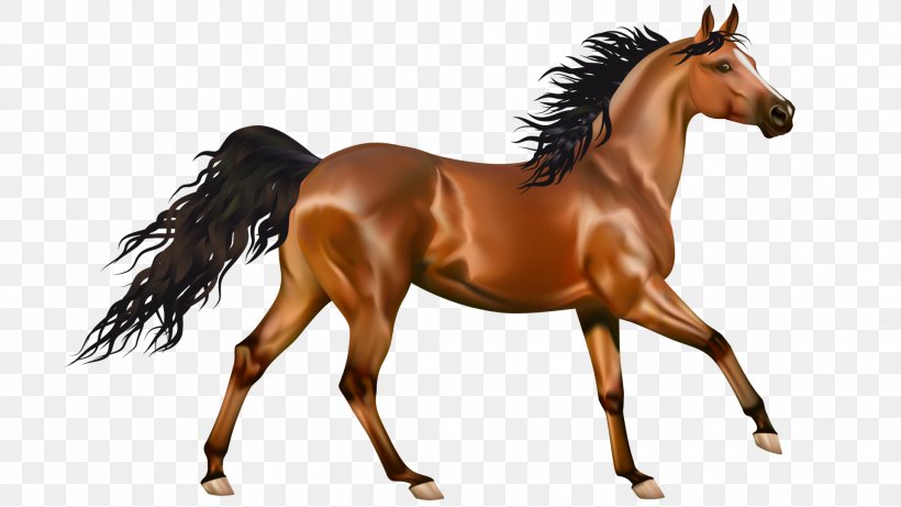 Arabian Horse Mustang Pony Clip Art, PNG, 1920x1080px, Arabian Horse, Animal Figure, Bit, Black, Bridle Download Free
