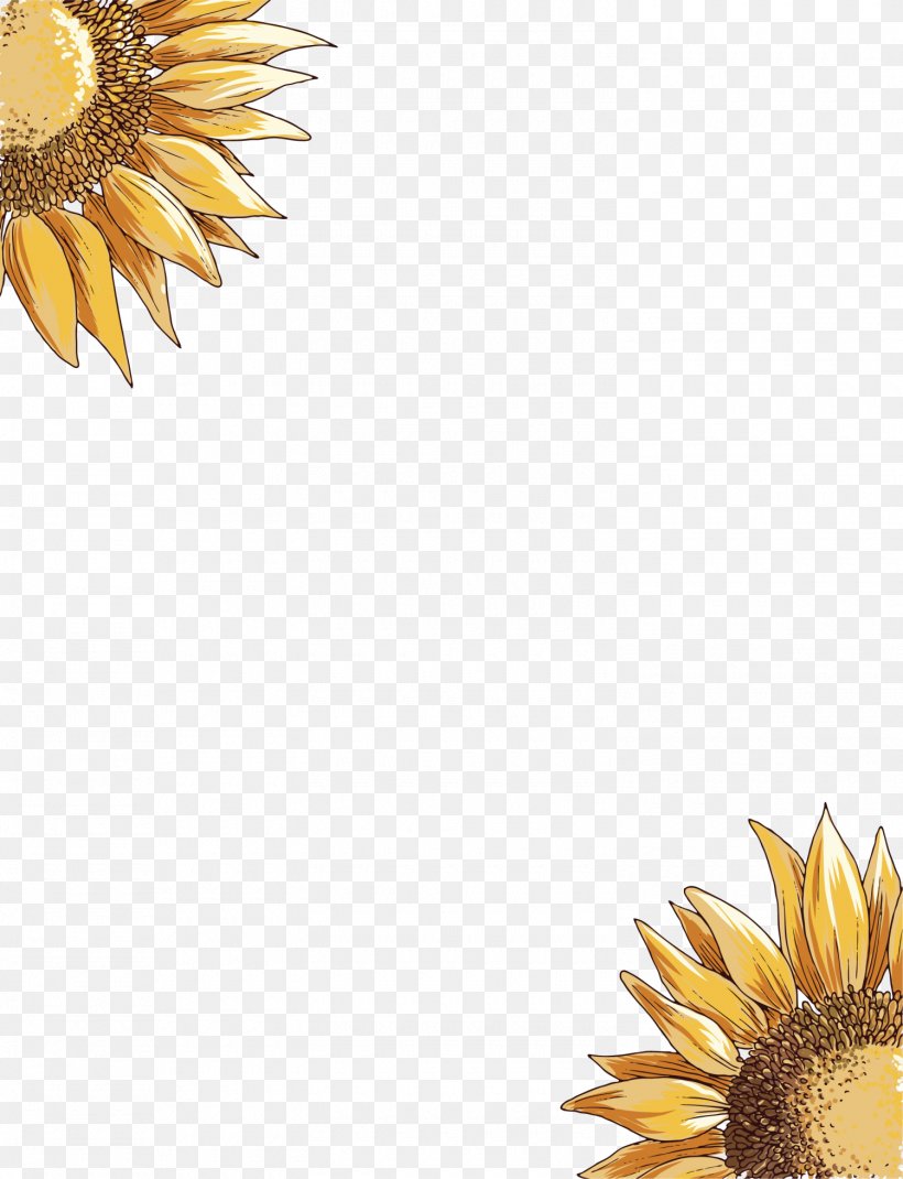 Common Sunflower, PNG, 1500x1958px, Common Sunflower, Daisy Family, Flower, Flowering Plant, Petal Download Free