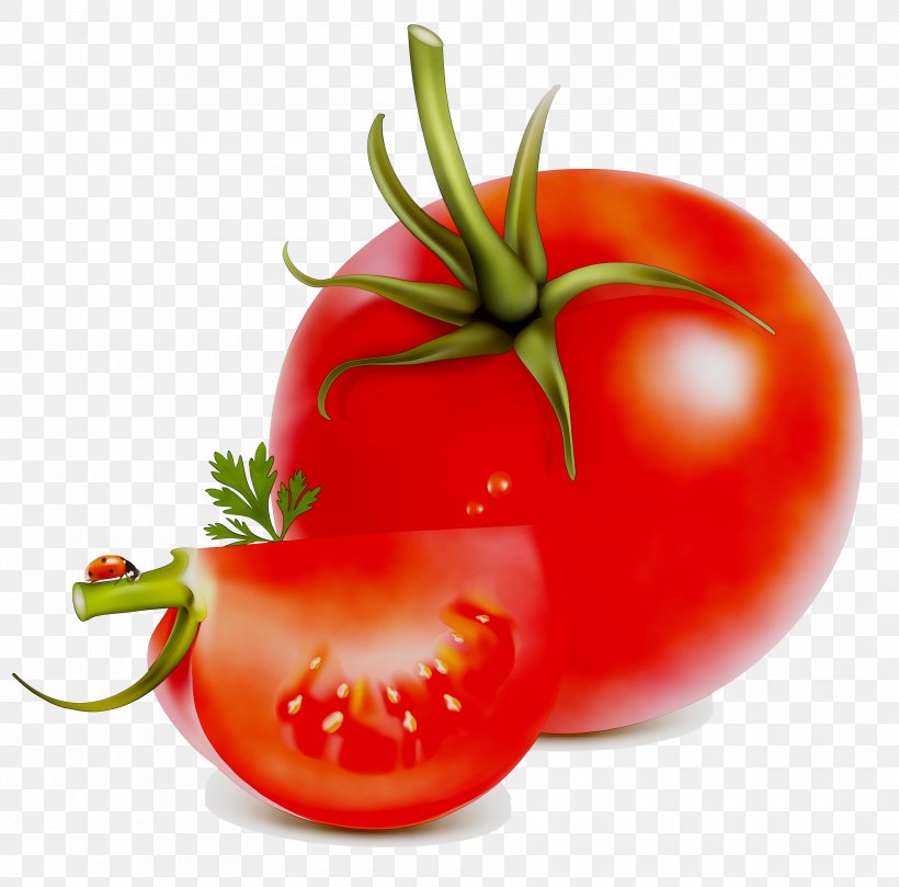 Plum Tomato Food Peperoncino Bell Pepper, PNG, 3540x3495px, Plum Tomato, Bell Pepper, Bush Tomato, Cherry Tomatoes, Chili Pepper Download Free