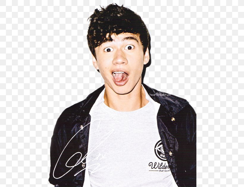 Calum Hood 5 Seconds Of Summer She Looks So Perfect Calum5SOS, PNG, 500x629px, Watercolor, Cartoon, Flower, Frame, Heart Download Free