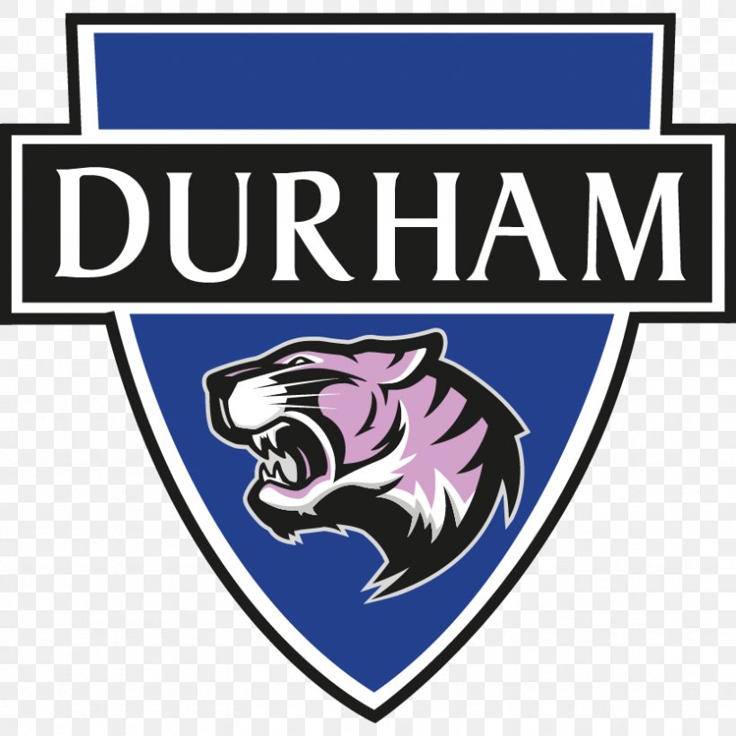 Durham Women's F.C. FA WSL 2 FA WSL 1, PNG, 833x833px, Durham, Area, Blue, Brand, Electric Blue Download Free