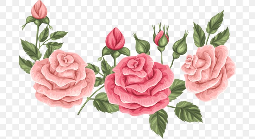 Garden Roses Cabbage Rose Floribunda Flower Floral Design, PNG, 700x448px, Garden Roses, Artificial Flower, Author, Cabbage Rose, Cut Flowers Download Free